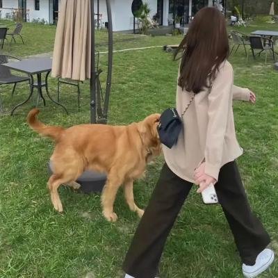 意外的春天